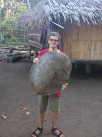 Big sea turtle shell